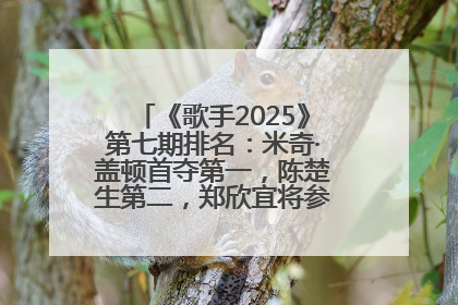 《歌手2025》第七期排名：米奇·盖顿首夺第一，陈楚生第二，郑欣宜将参加下一轮张榜赛