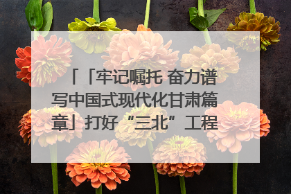 「牢记嘱托 奋力谱写中国式现代化甘肃篇章」打好“三北”工程攻坚战 筑牢国家西部生态安全屏障