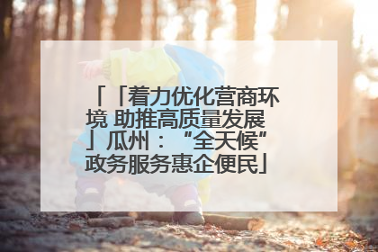 「着力优化营商环境 助推高质量发展」瓜州：“全天候”政务服务惠企便民