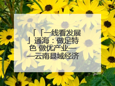 「一线看发展」通海：做足特色 做优产业——云南县域经济样本观察之二