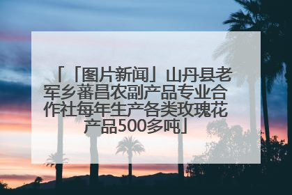 「图片新闻」山丹县老军乡蕃昌农副产品专业合作社每年生产各类玫瑰花产品500多吨