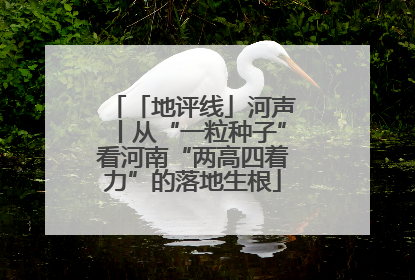 「地评线」河声丨从“一粒种子”看河南“两高四着力”的落地生根