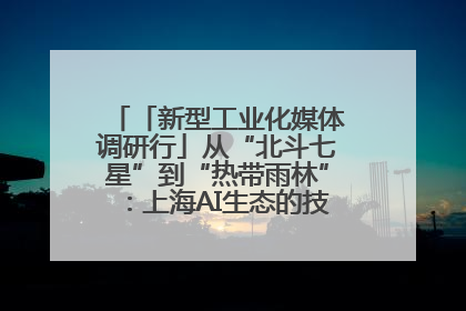 「新型工业化媒体调研行」从“北斗七星”到“热带雨林”：上海AI生态的技术商业共生密码