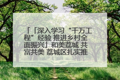 「深入学习“千万工程”经验 推进乡村全面振兴」和美荔城 共富共美 荔城区扎实推进乡村振兴工作