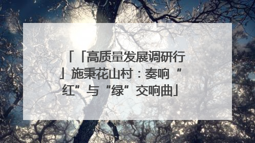 「高质量发展调研行」施秉花山村：奏响“红”与“绿”交响曲