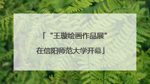 “王璇绘画作品展”在信阳师范大学开幕