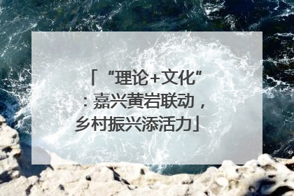 “理论+文化”：嘉兴黄岩联动，乡村振兴添活力
