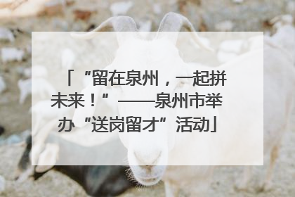 “留在泉州，一起拼未来！”——泉州市举办“送岗留才”活动
