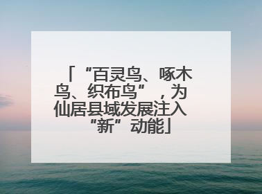 “百灵鸟、啄木鸟、织布鸟”，为仙居县域发展注入“新”动能