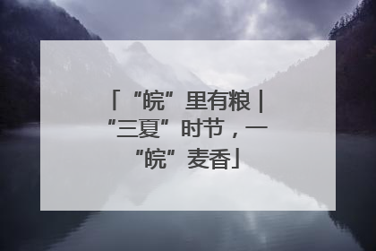 “皖”里有粮｜“三夏”时节，一“皖”麦香