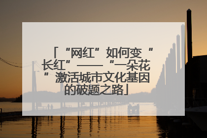 “网红”如何变“长红”——“一朵花”激活城市文化基因的破题之路