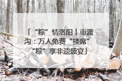 “粽”情洛阳丨重渡沟：万人免费“搂席” “粽”享非遗盛宴