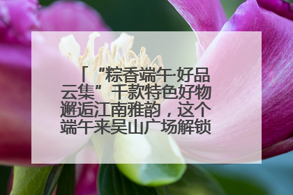 “粽香端午·好品云集”千款特色好物邂逅江南雅韵，这个端午来吴山广场解锁“浙里烟火气”