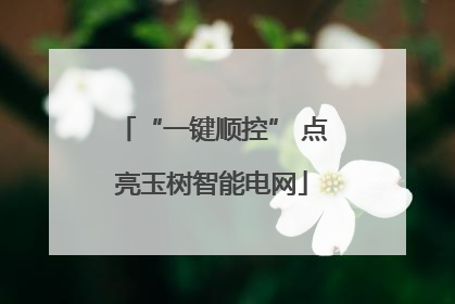 “一键顺控” 点亮玉树智能电网
