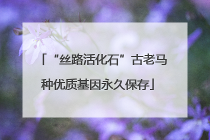“丝路活化石”古老马种优质基因永久保存