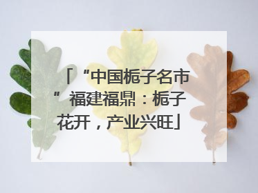 “中国栀子名市”福建福鼎：栀子花开，产业兴旺