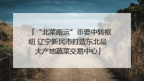“北菜南运”重要中转枢纽 辽宁新民市打造东北最大产地蔬菜交易中心