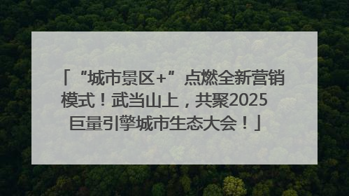 “城市景区+”点燃全新营销模式！武当山上，共聚2025巨量引擎城市生态大会！