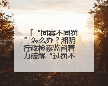 “同案不同罚”怎么办？湘阴行政检察监督着力破解“过罚不当”难题