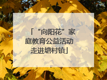 “向阳花”家庭教育公益活动走进塘村镇