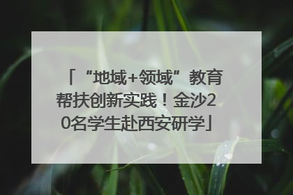 “地域+领域”教育帮扶创新实践！金沙20名学生赴西安研学