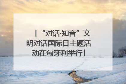 “对话·知音”文明对话国际日主题活动在匈牙利举行