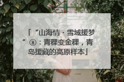 “山海情・雪域援梦”⑧：青稞变金稞，青岛援藏的高原样本