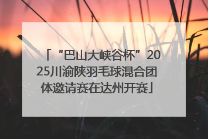 “巴山大峡谷杯”2025川渝陕羽毛球混合团体邀请赛在达州开赛