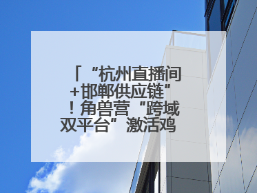 “杭州直播间+邯郸供应链”！角兽营“跨域双平台”激活鸡泽产业新动能