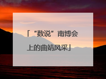“数说”南博会上的曲靖风采