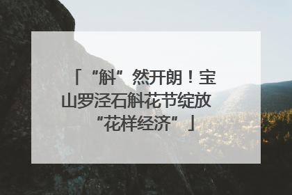 “斛”然开朗！宝山罗泾石斛花节绽放“花样经济”