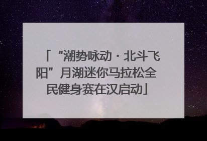 “潮势咏动・北斗飞阳”月湖迷你马拉松全民健身赛在汉启动