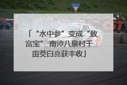 “水中参”变成“致富宝” 南漳八泉村千亩茭白喜获丰收