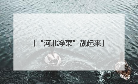 “河北净菜”靓起来