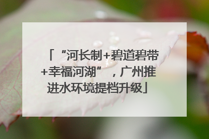 “河长制+碧道碧带+幸福河湖”，广州推进水环境提档升级