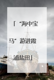 “海中宝马”游进霞浦盐田