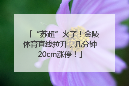 “苏超”火了！金陵体育直线拉升，几分钟20cm涨停！