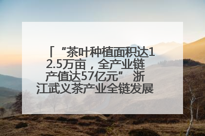 “茶叶种植面积达12.5万亩，全产业链产值达57亿元” 浙江武义茶产业全链发展“加速度”