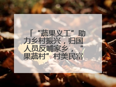 “蔬果义工”助力乡村振兴，归国人员反哺家乡，“果蔬村”村美民富香飘远近