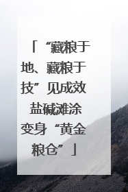 “藏粮于地、藏粮于技”见成效 盐碱滩涂变身“黄金粮仓”