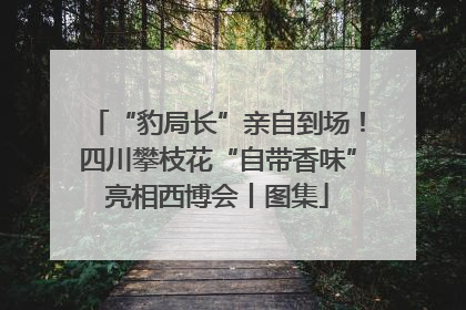 “豹局长”亲自到场！四川攀枝花“自带香味”亮相西博会丨图集