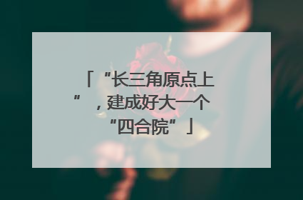 “长三角原点上”，建成好大一个“四合院”