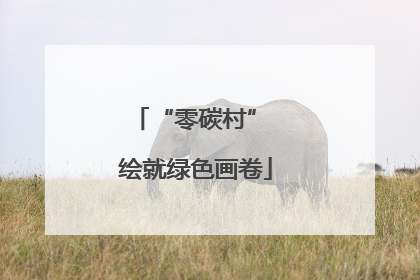“零碳村” 绘就绿色画卷