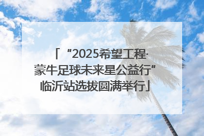 “2025希望工程·蒙牛足球未来星公益行”临沂站选拔圆满举行