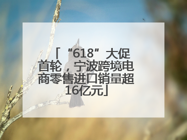 “618”大促首轮，宁波跨境电商零售进口销量超16亿元