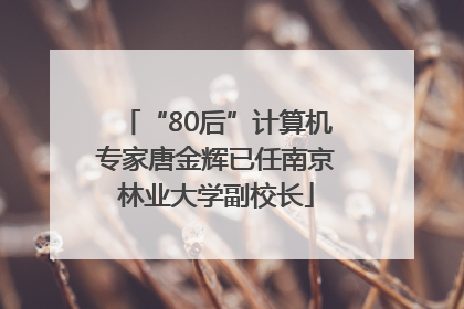 “80后”计算机专家唐金辉已任南京林业大学副校长
