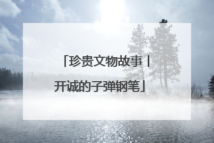 珍贵文物故事丨开诚的子弹钢笔