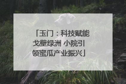 玉门：科技赋能戈壁绿洲 小院引领蜜瓜产业振兴