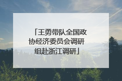 王勇带队全国政协经济委员会调研组赴浙江调研