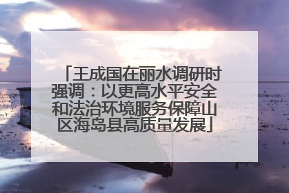 王成国在丽水调研时强调：以更高水平安全和法治环境服务保障山区海岛县高质量发展
